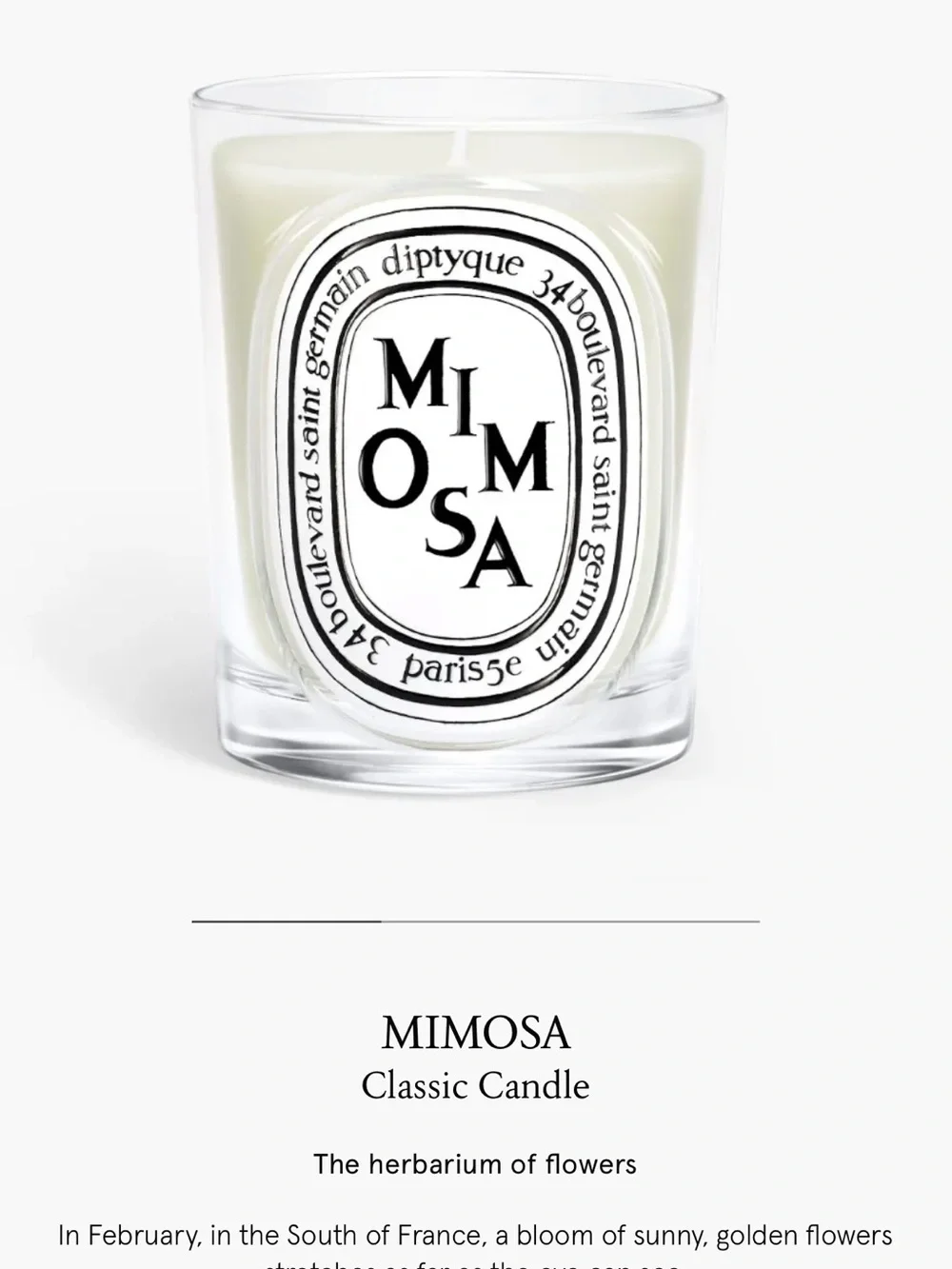 Diptyque Mimosa Classic Size Candle